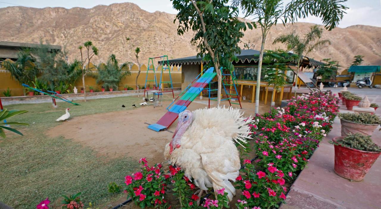 Serene Aravali Resort, Pushkar Eksteriør bilde